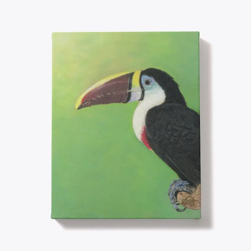 Clark Fine Art Toucan