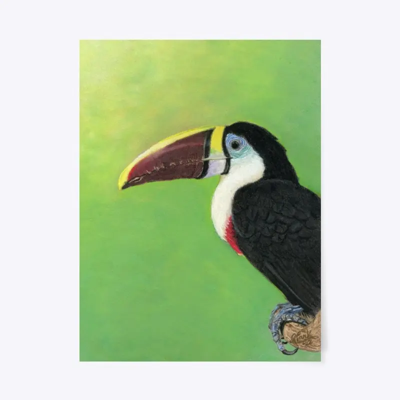 Clark Fine Art Toucan