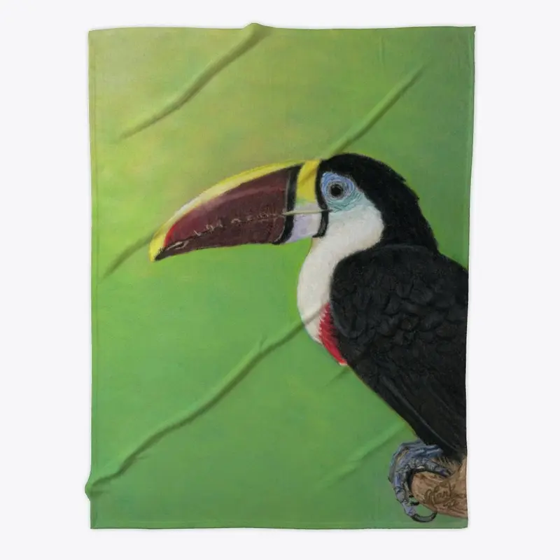 Clark Fine Art Toucan